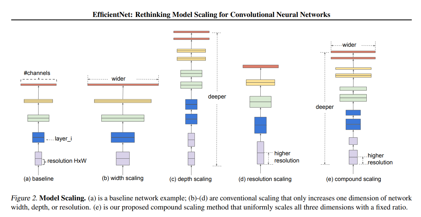 EfficientNet Architecture.png