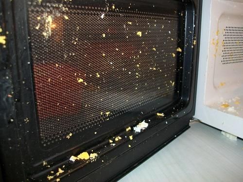 Egg in a Microwave 02 Door.jpg