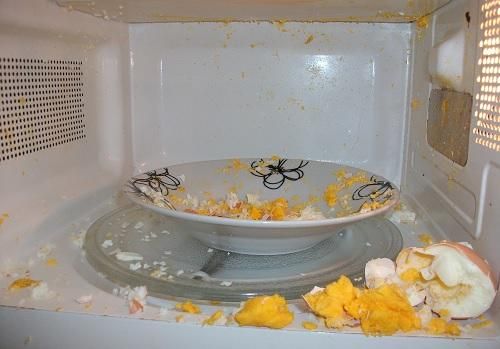 Egg in a Microwave 03 Inside the Oven.jpg