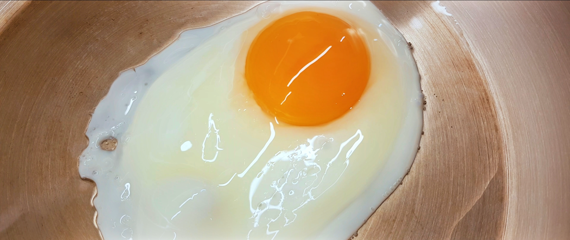 Eggt.png