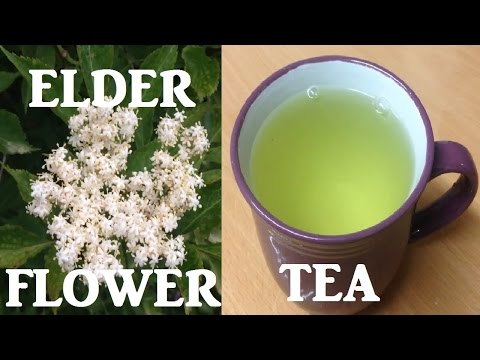 Elderflower Tea fresh organic