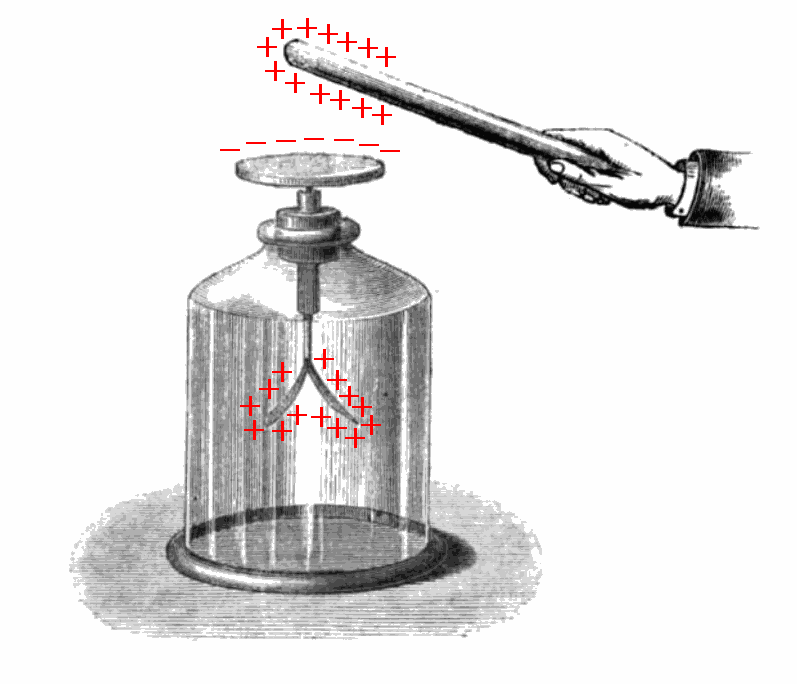 Electroscope_showing_induction.png