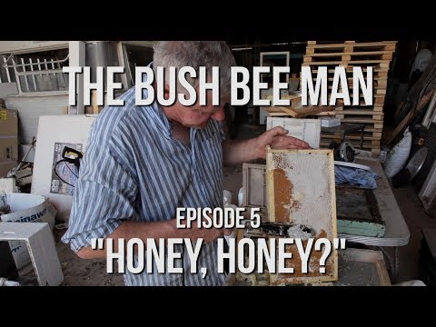 Extracting Honey from Honeycomb -  Episode 5: &amp;quot;Honey, Honey&amp;quot;