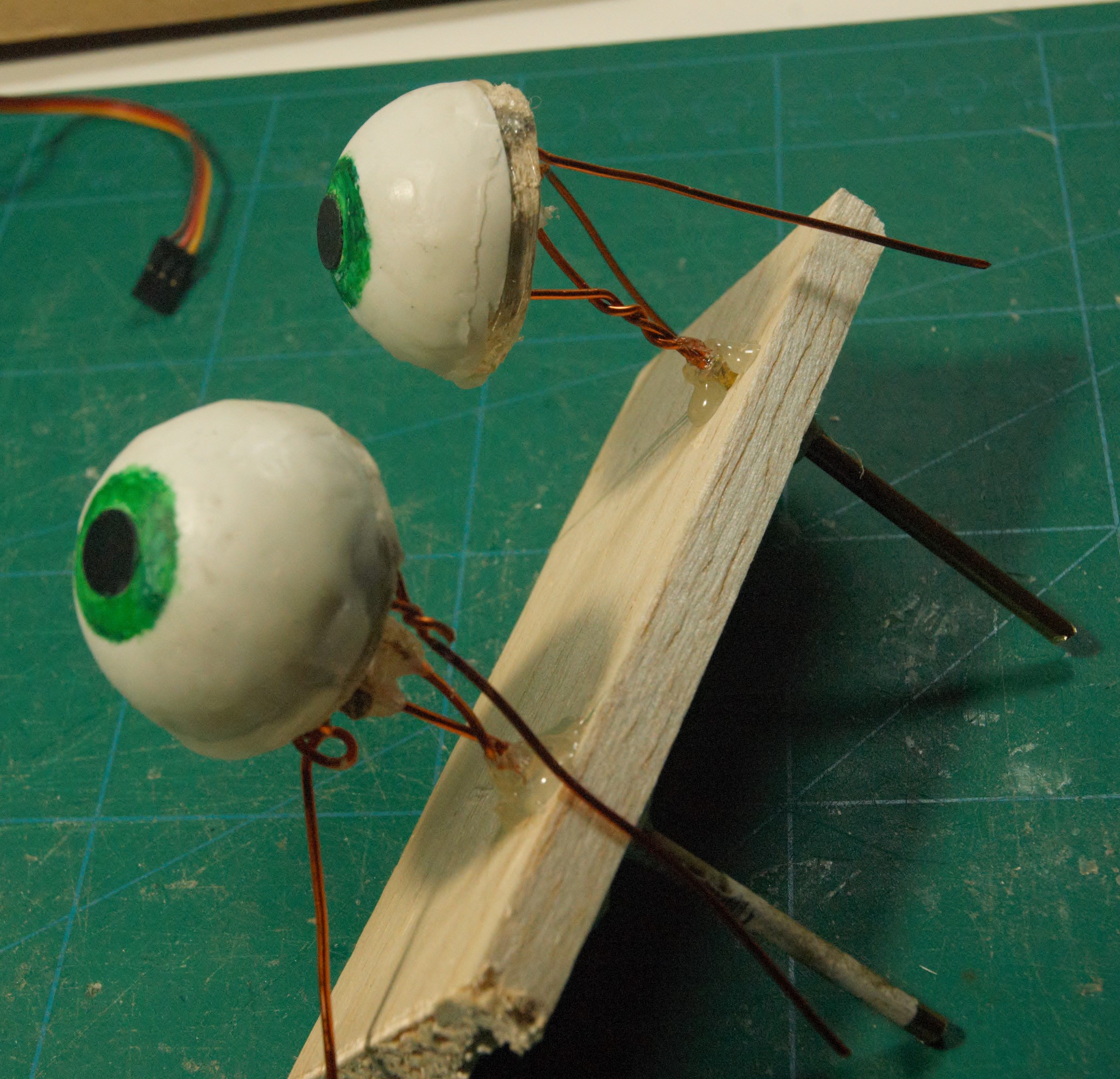 EyesInPlace.jpg