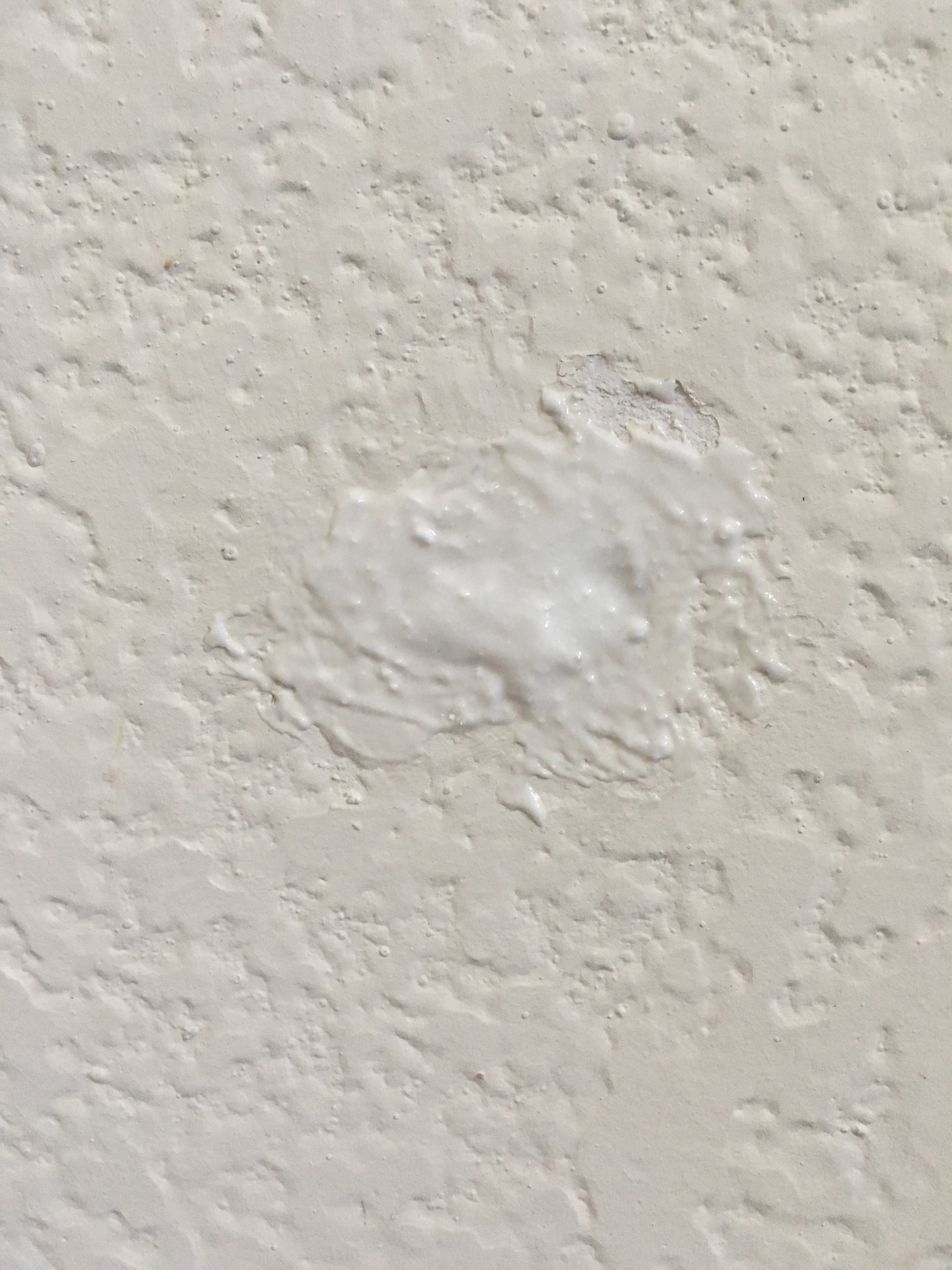 F681AE19-1928-427F-878E-59F6367D279B.jpeg