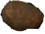 FMGGT23L8OHXZ83.jpg