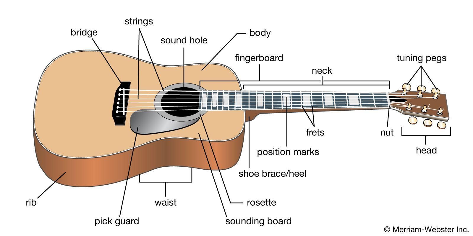 Features-of-a-modern-acoustic-guitar.jpg