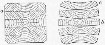 Fig-15-Warping-of-planks-cut-from-an-unseasoned-log.jpg