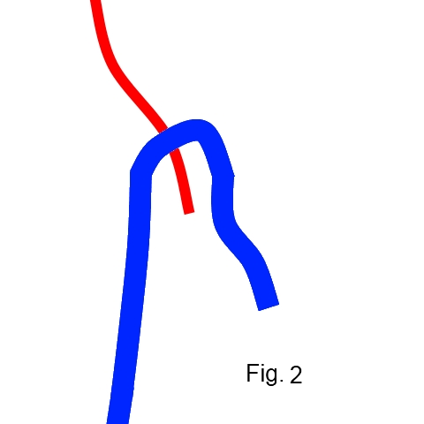 Fig2.jpg