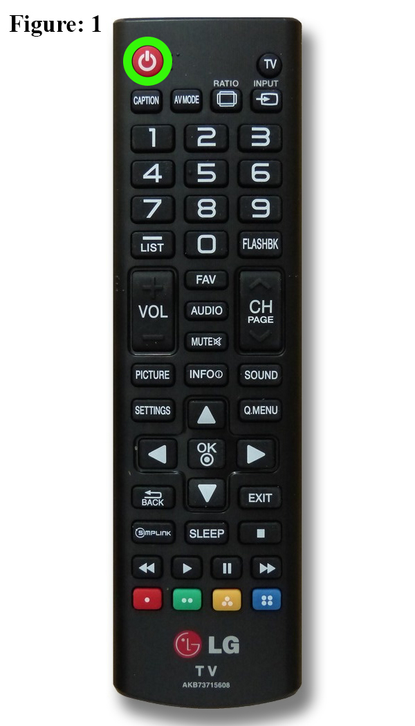 Figure 1.jpg