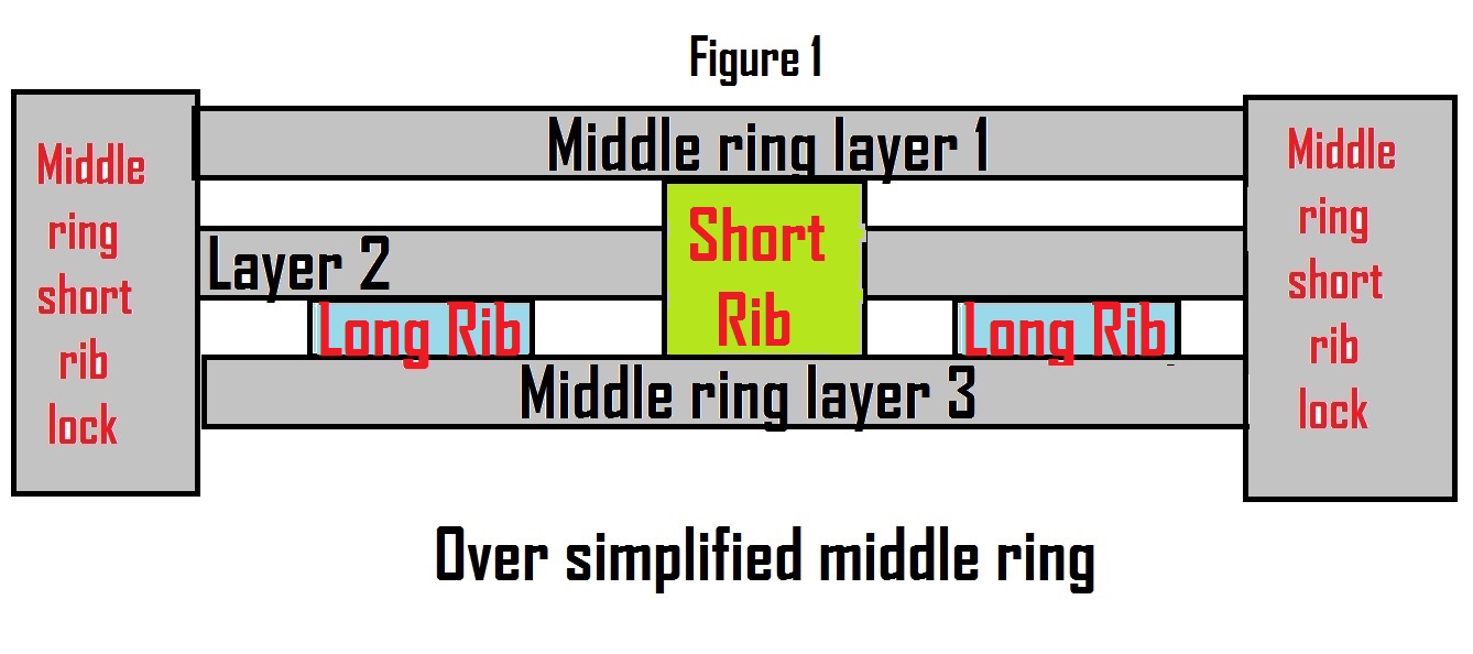 Figure 1.jpg