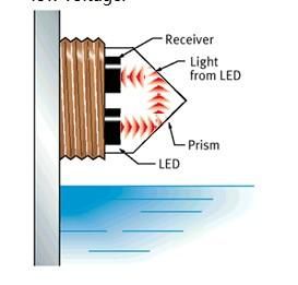 Figure 1.jpg