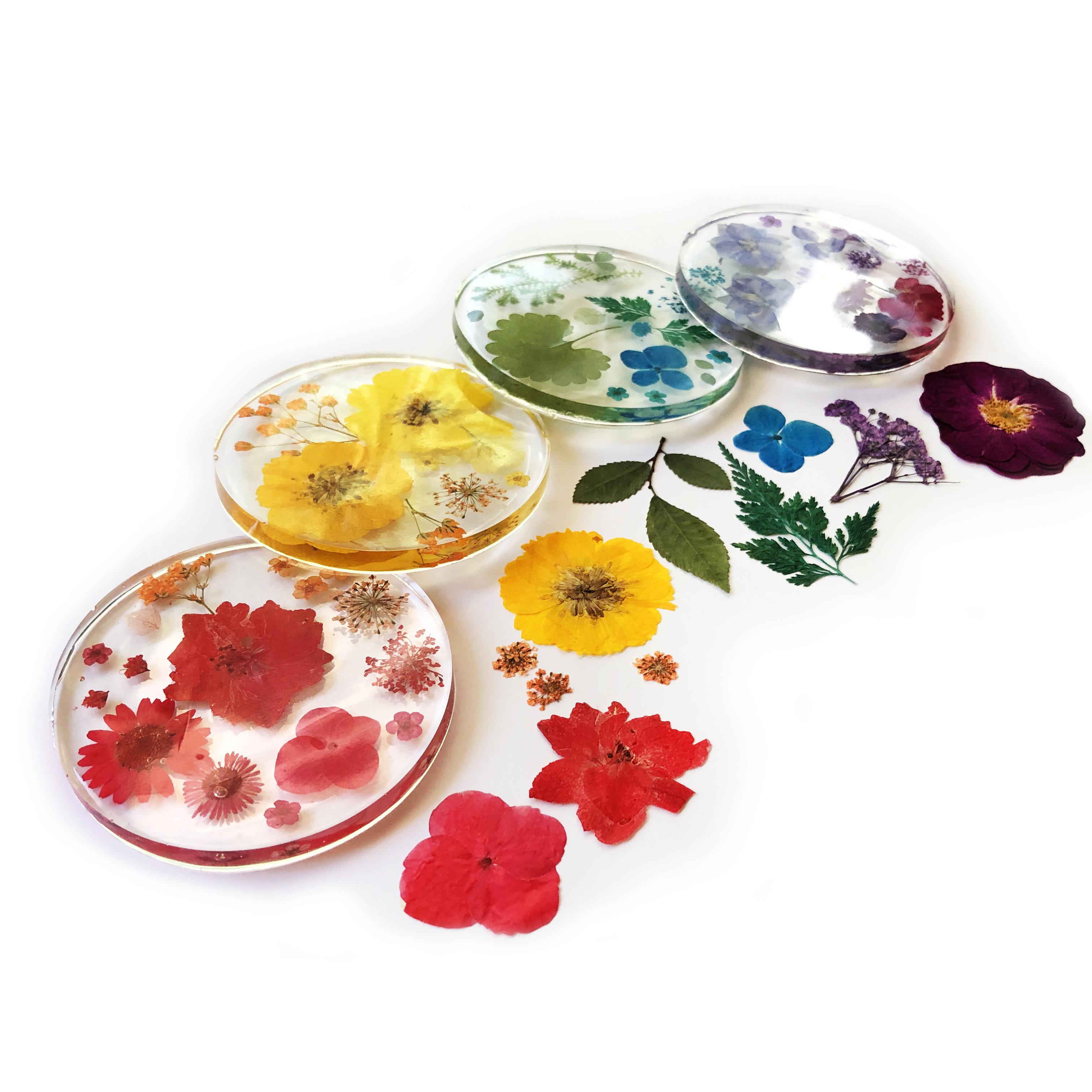 Fin Rainbow Coasters Flowers 02 2619.jpg