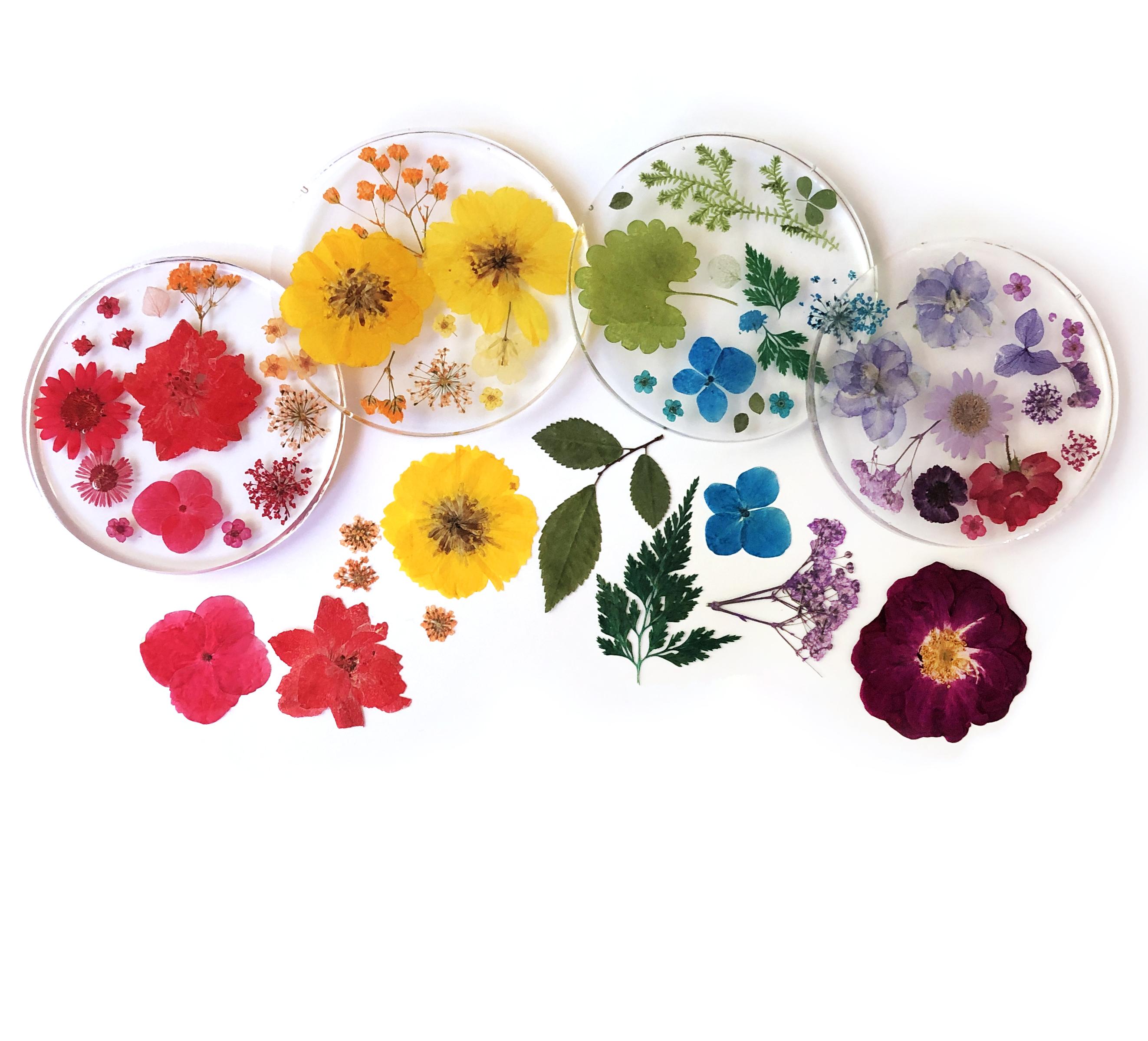 Fin Rainbow Coasters Flowers 03 SM 2621.jpg