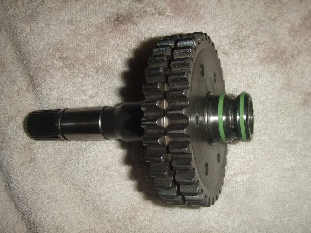 FinalReassy013.jpg