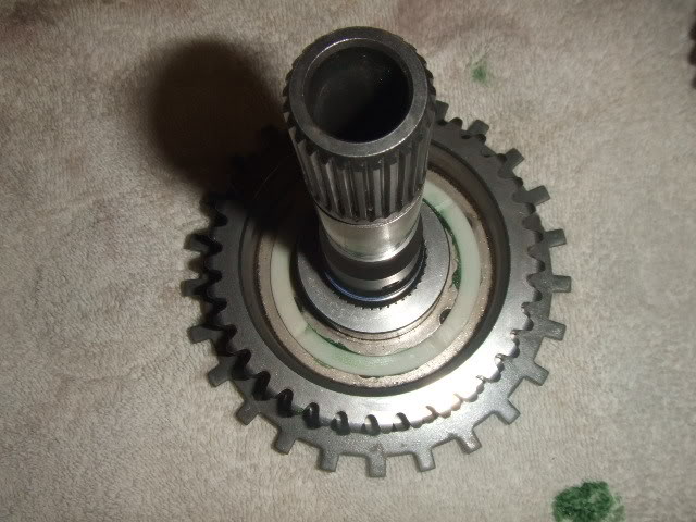 FinalReassy015.jpg