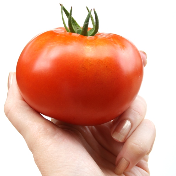 FingersCurledHoldingTomatoSmall.JPG