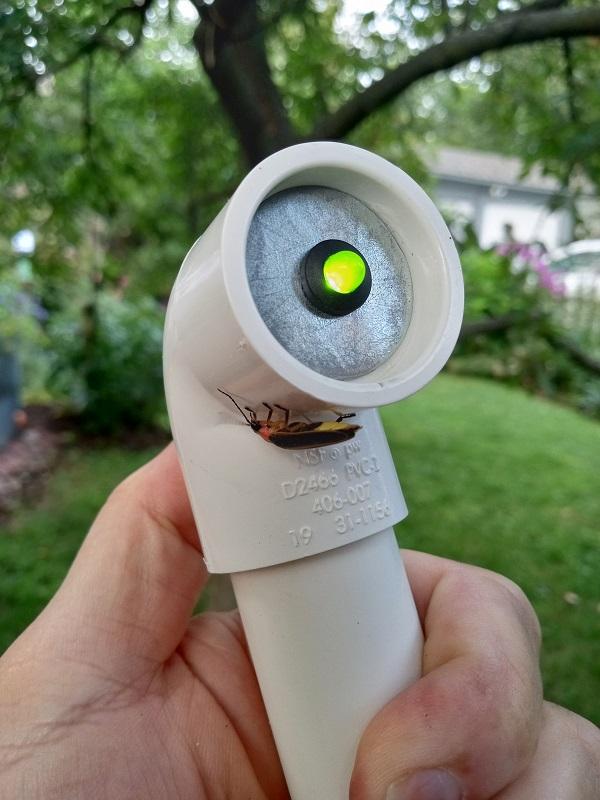 Finished lamp SMALL.jpg