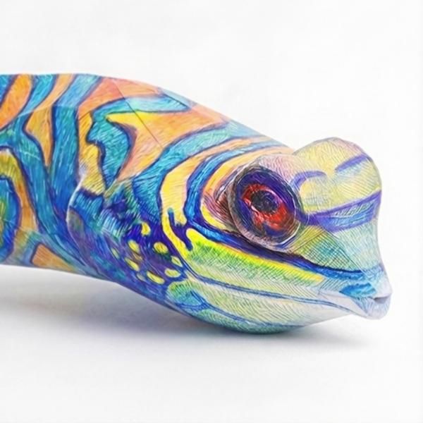 Fish first shot00.jpg