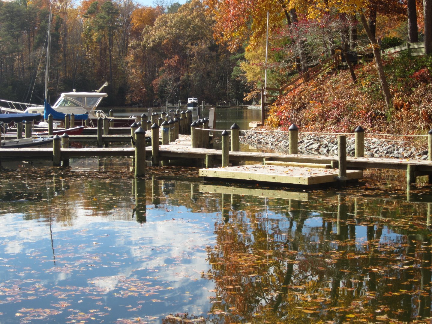 Floating Dock 1.JPG