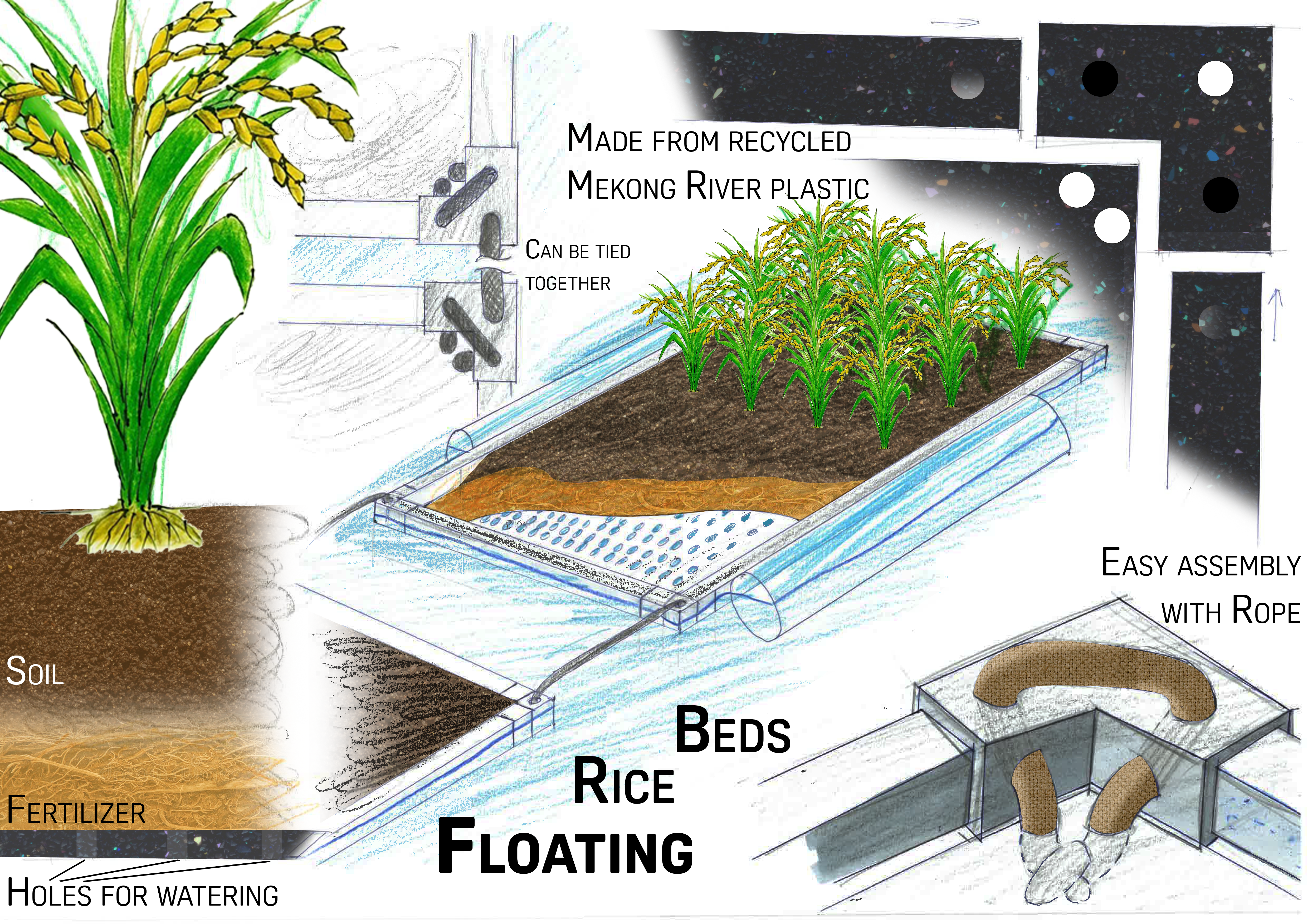 Floating Rice Beds.png