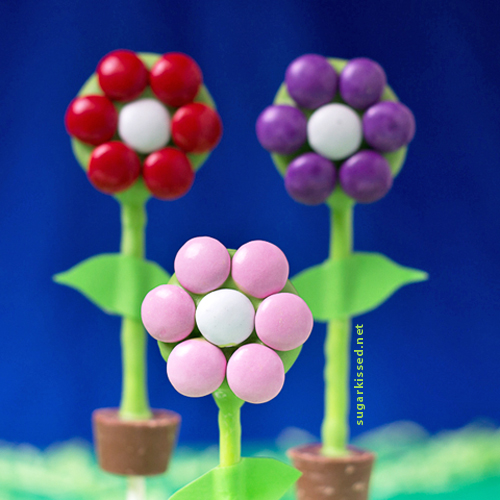 Flower Pot Cake Pops-15.jpg