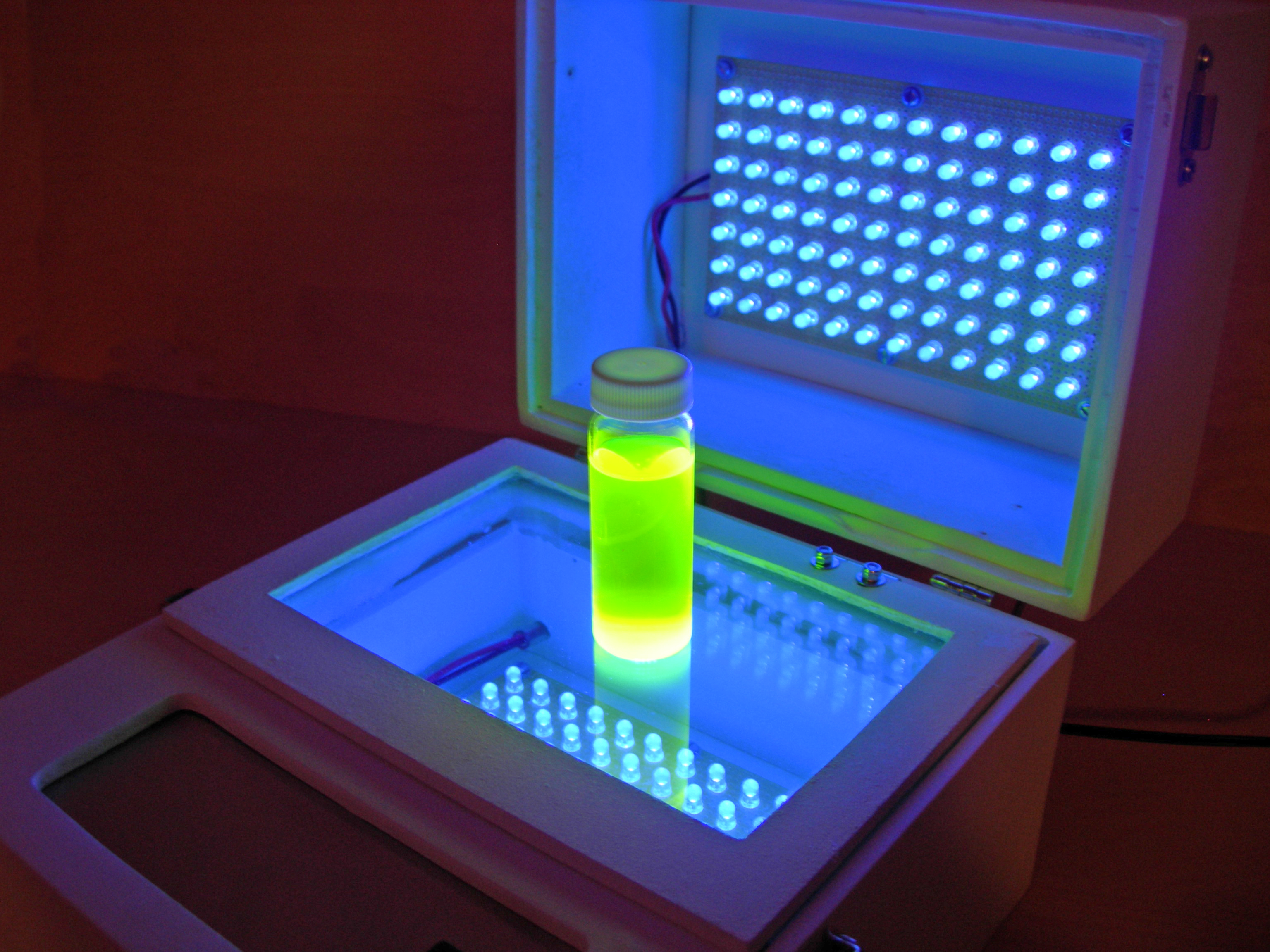 Fluorescein.jpg