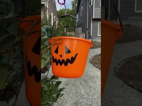 Flying Pumpkin Candy Zipline for Halloween Trick or Treats- Socially Distant