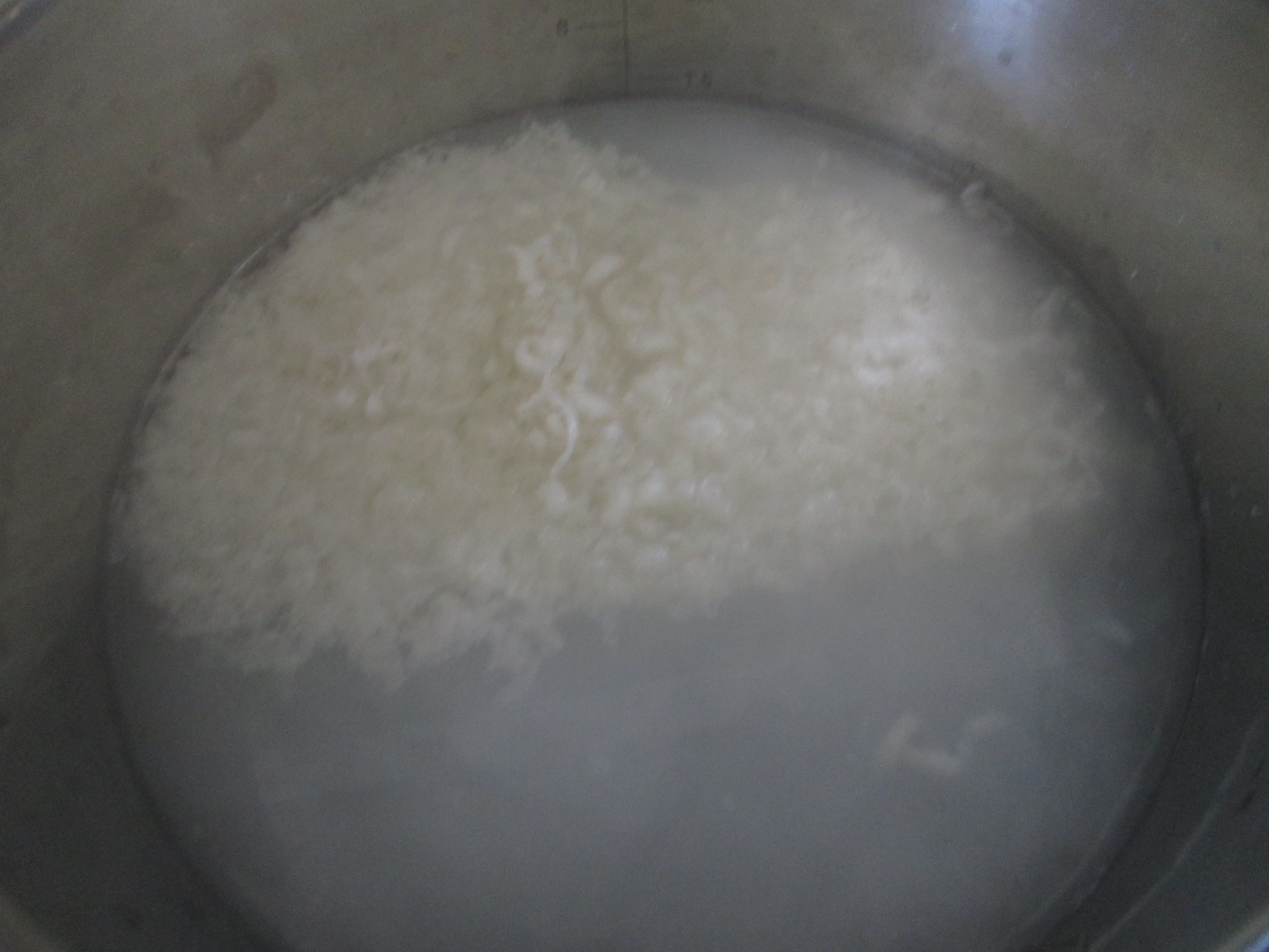 Foaming soap 5.JPG