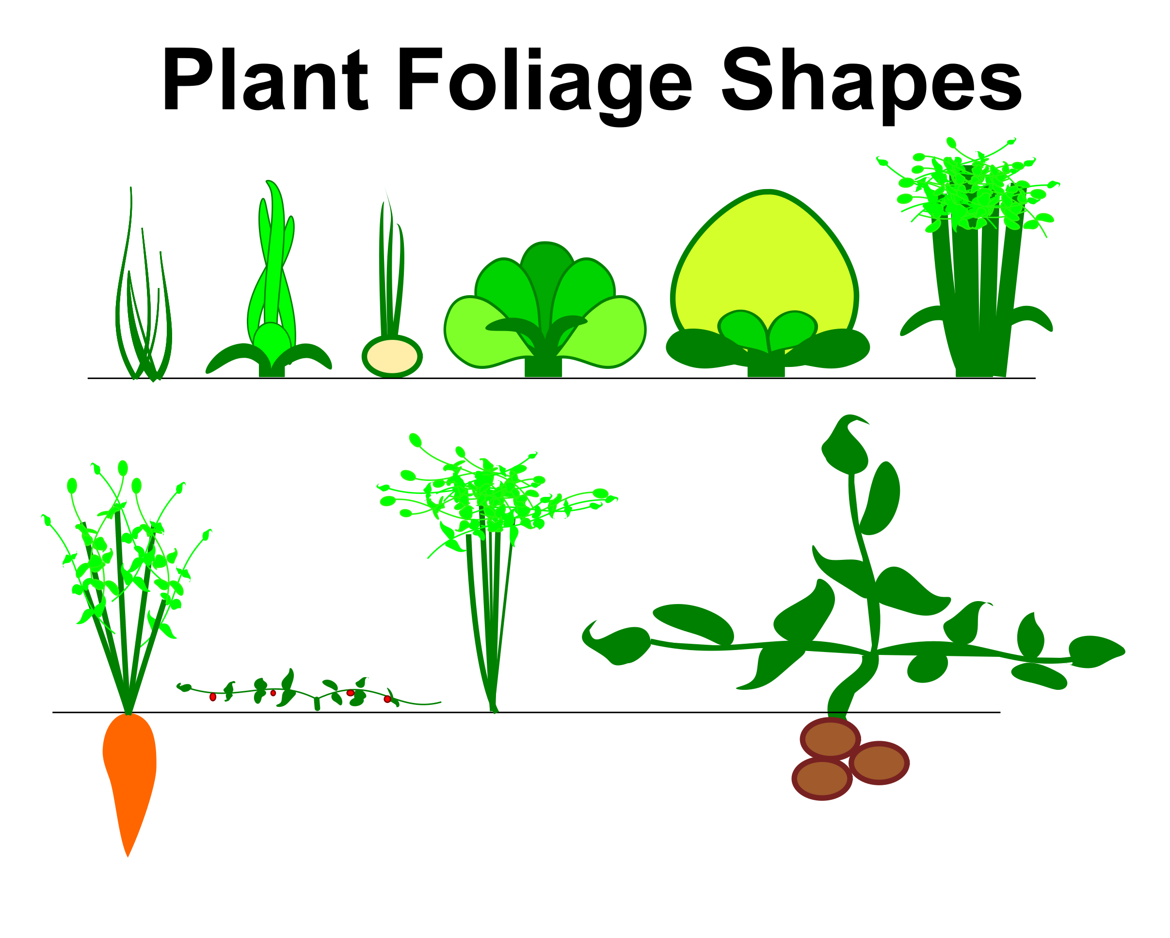 Foliage_Shapes.png