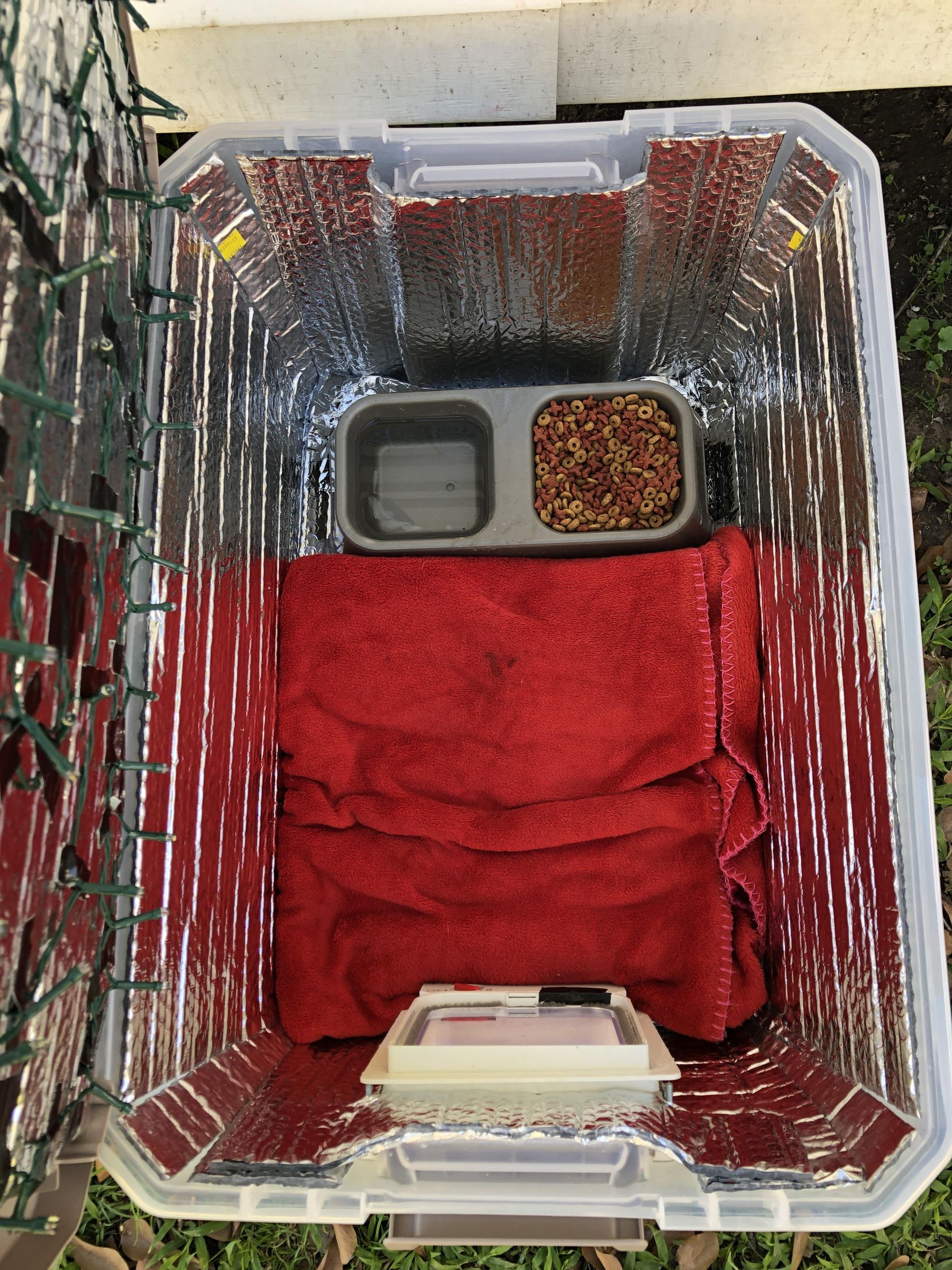 Food and Blanket Inside Cat Box.JPG