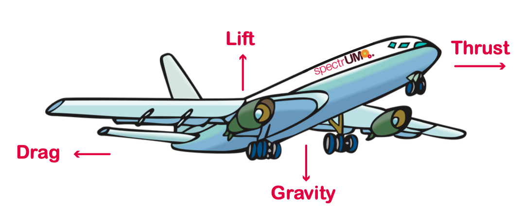 Four Forces of Flight.png