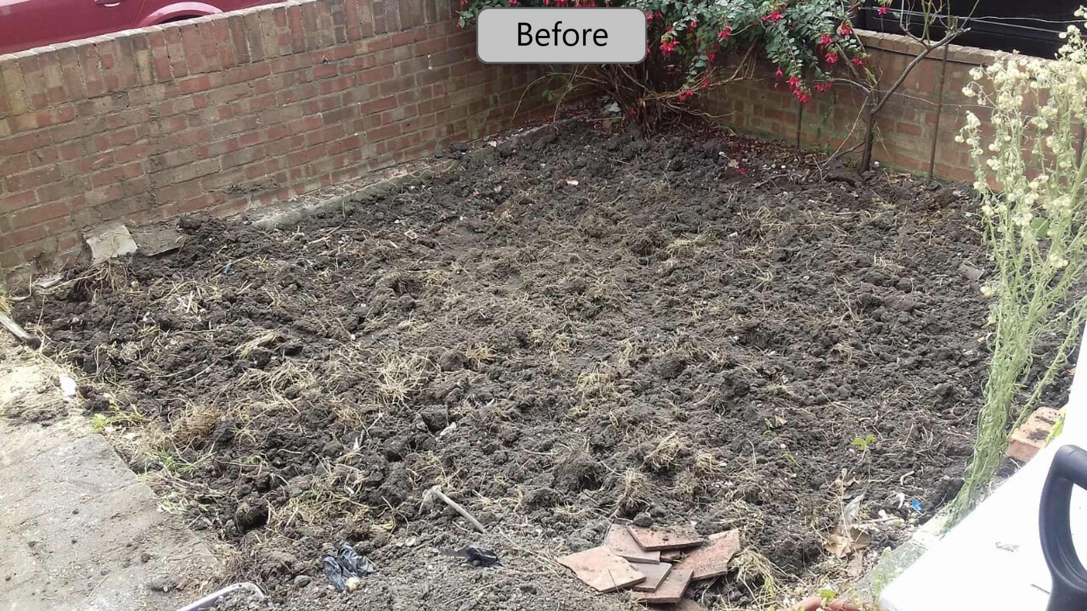 Front Garden 1A Before.png