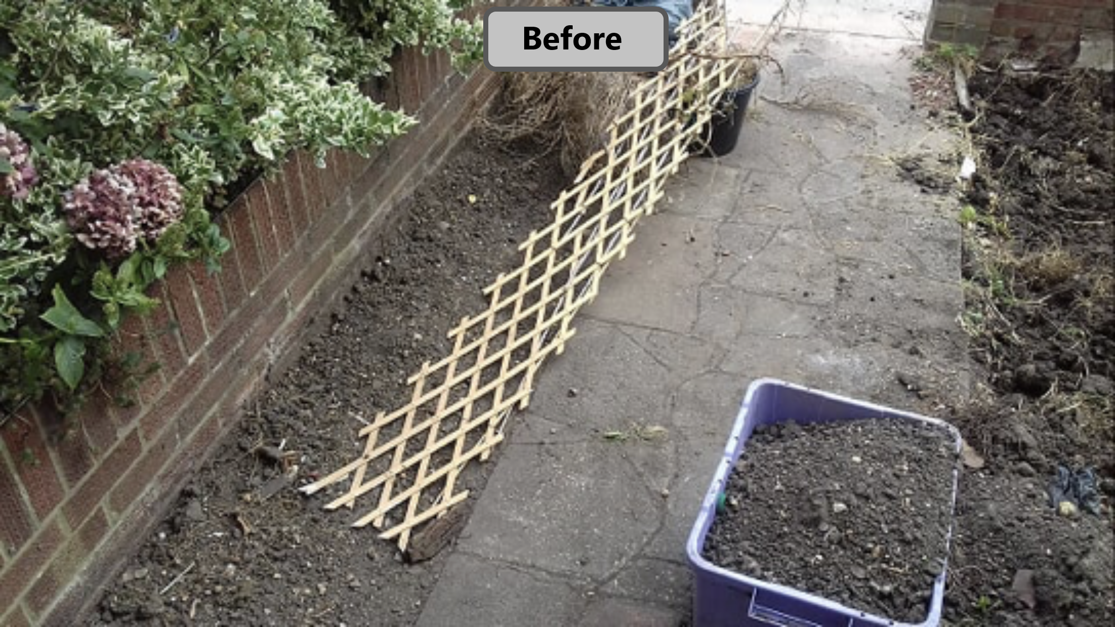 Front Garden 3 Before.png