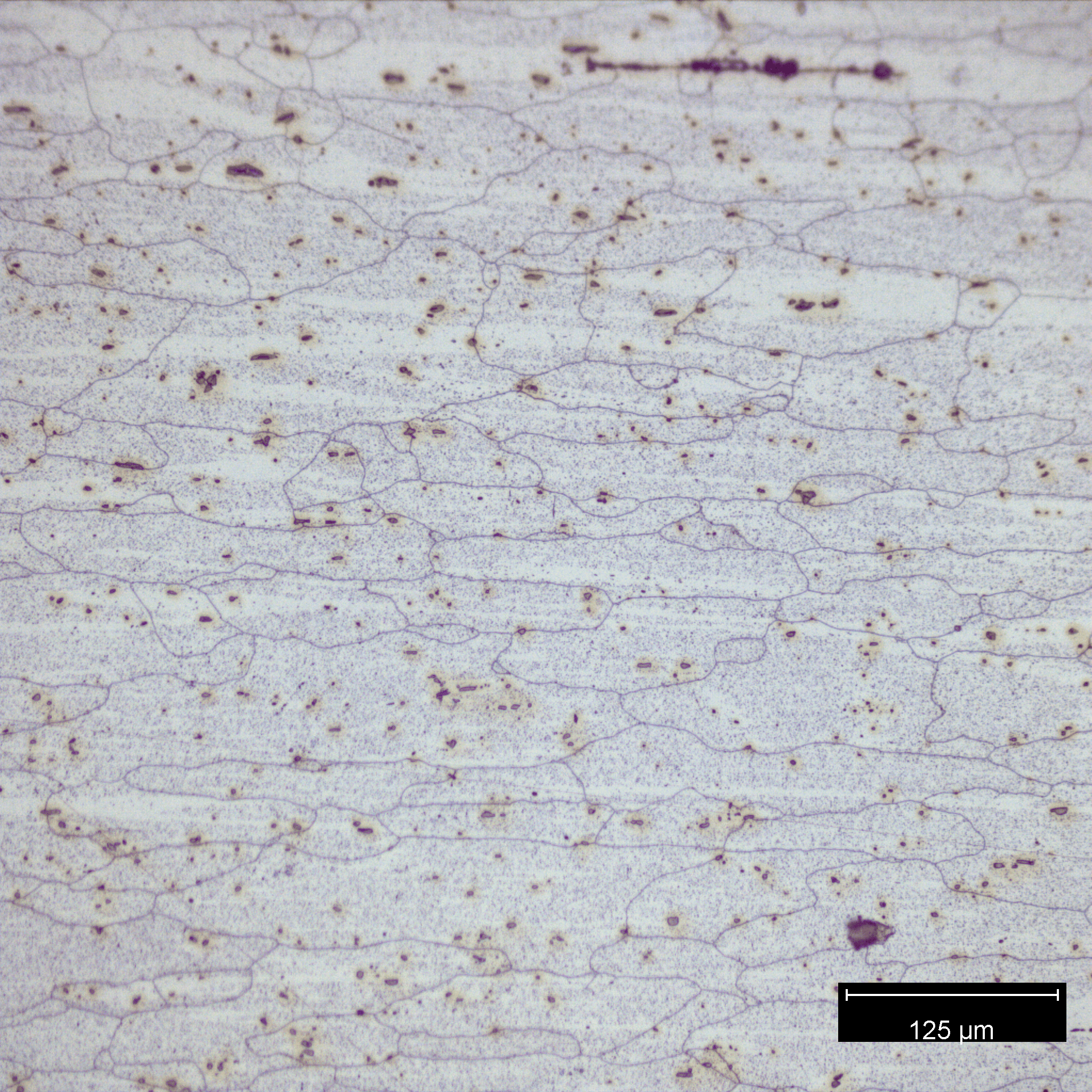 G9-6009FCE-200x-3.png