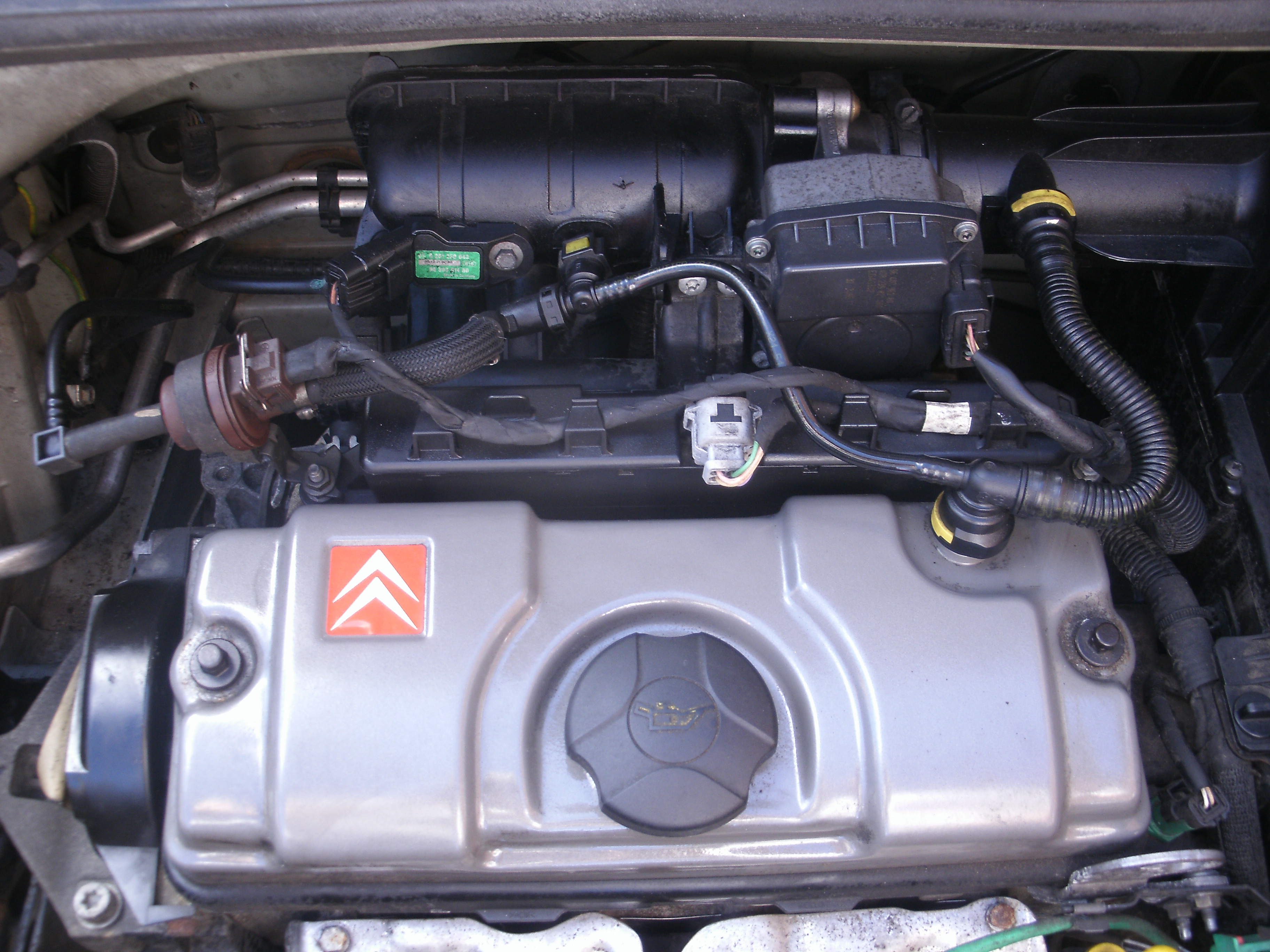 GEDC1850.JPG