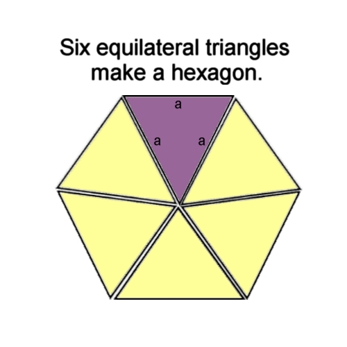 GEODESIC (9).JPG