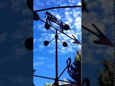 GRAPE TRELLIS with WHIRLIGIG