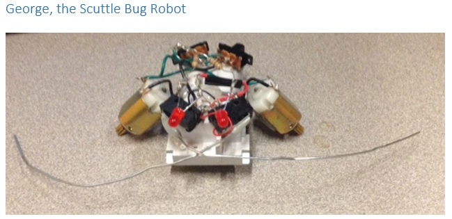 George the Scuttle Bug.jpg