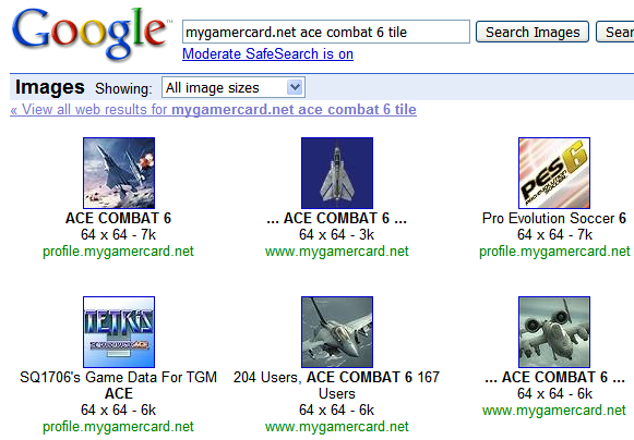 Google image search.png