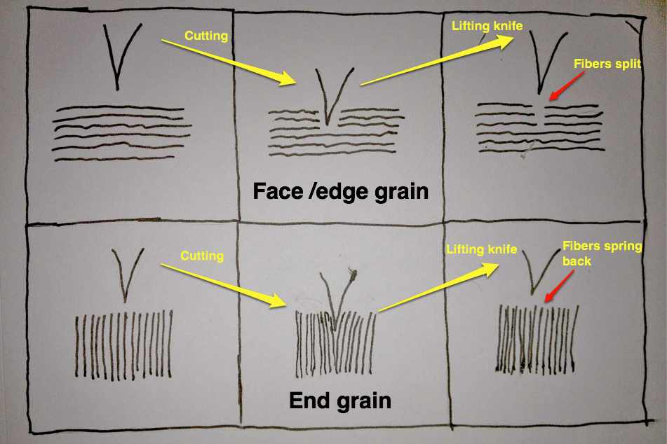 Grain diagram 2.jpg