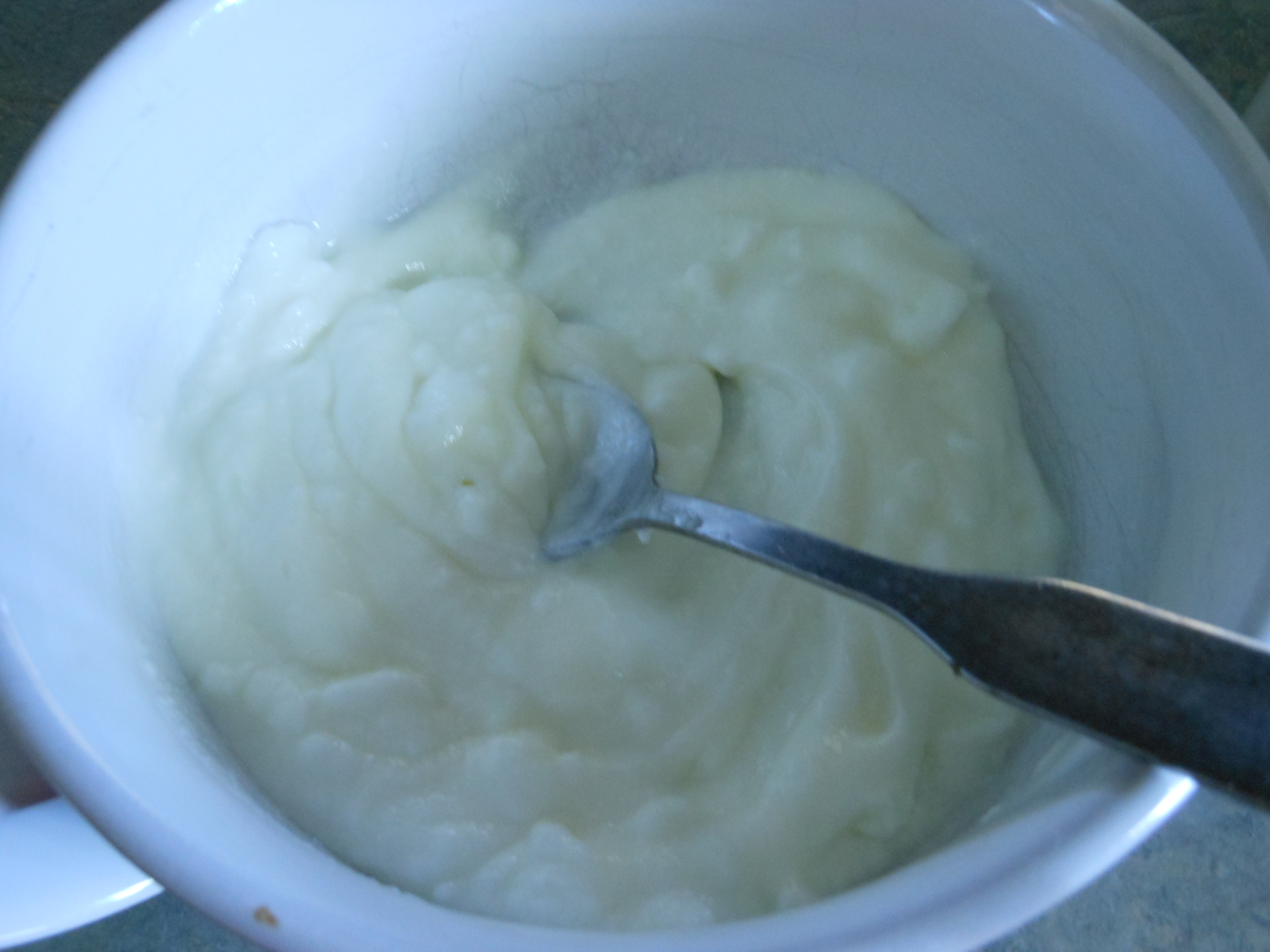 Greek Yogurt 5.JPG