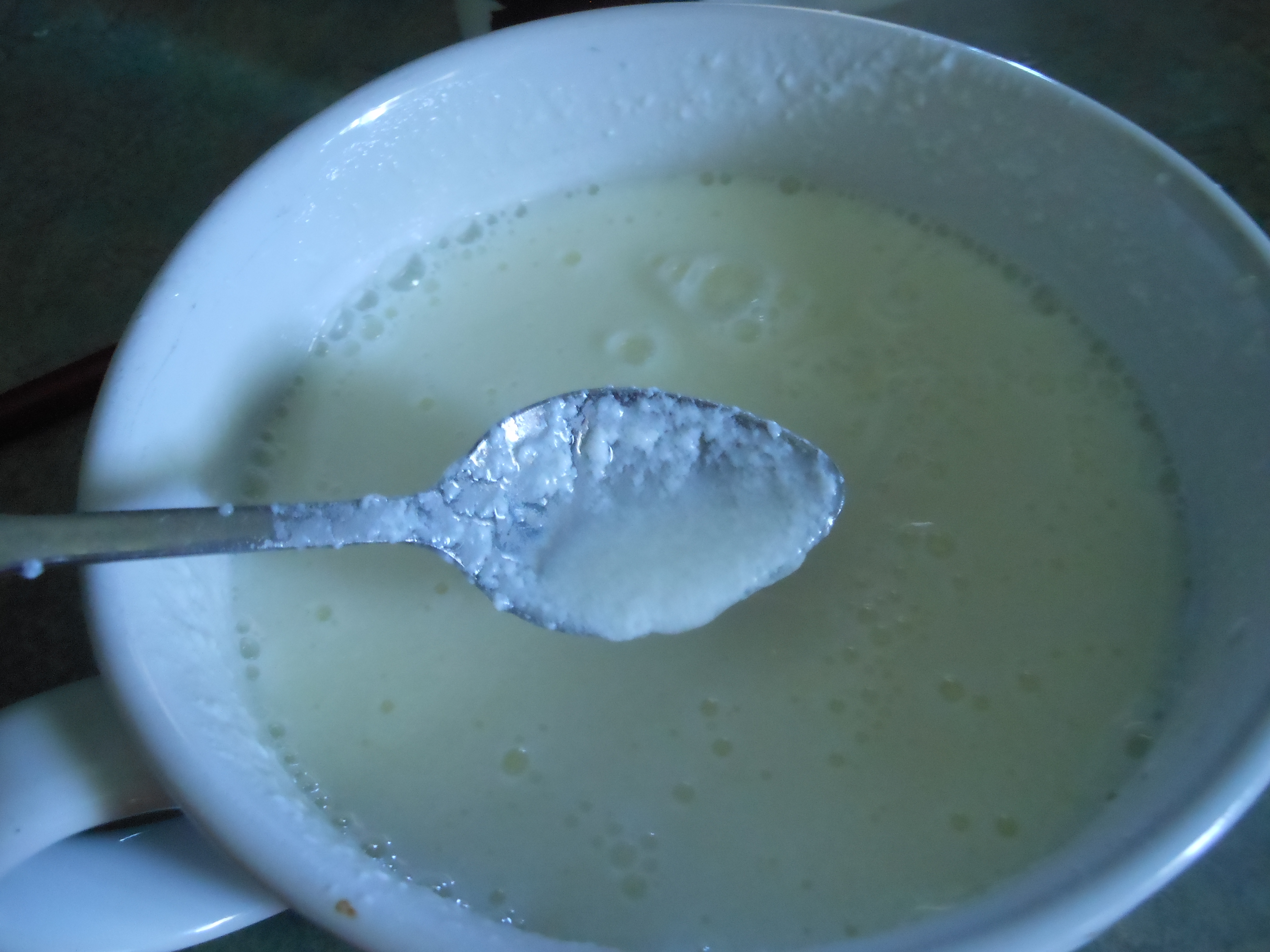 Greek Yogurt 6.JPG