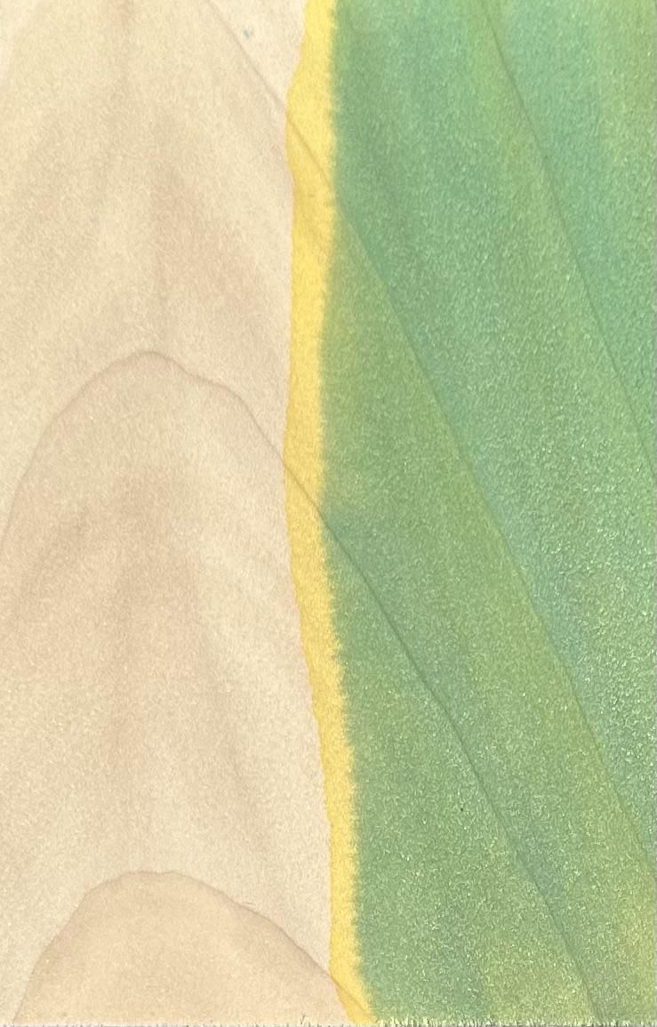 Green Bleed .jpeg
