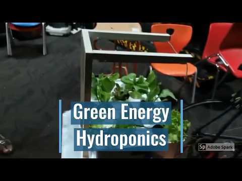 Green Energy Hydroponics using Cycle &amp;amp; Generator