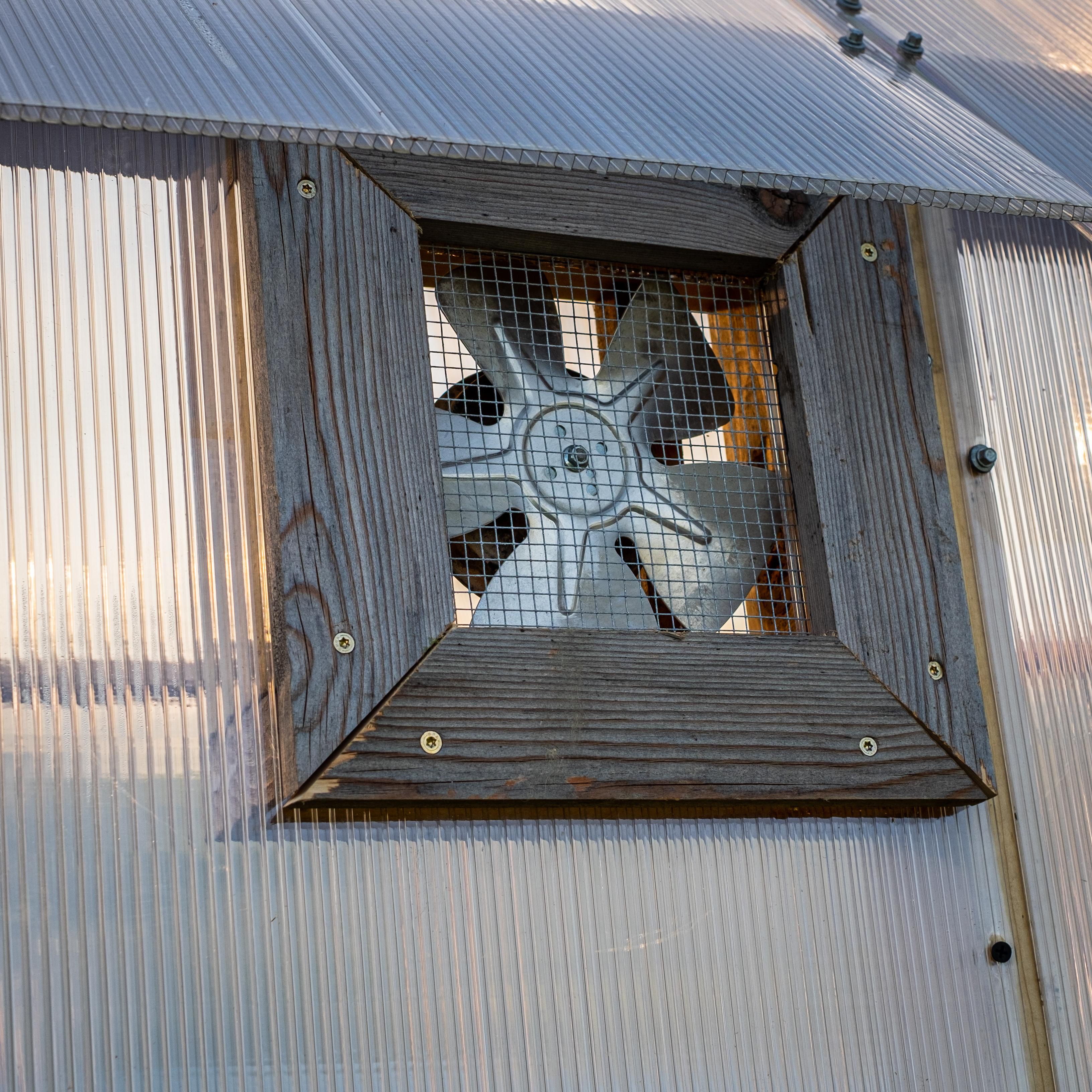 Greenhouse-089.jpg