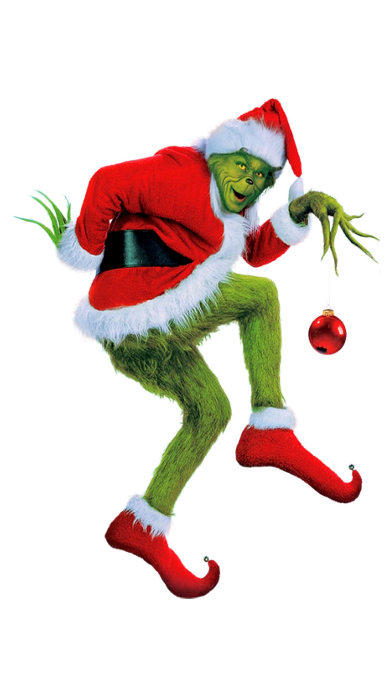 Grinch Verticalis2.jpg
