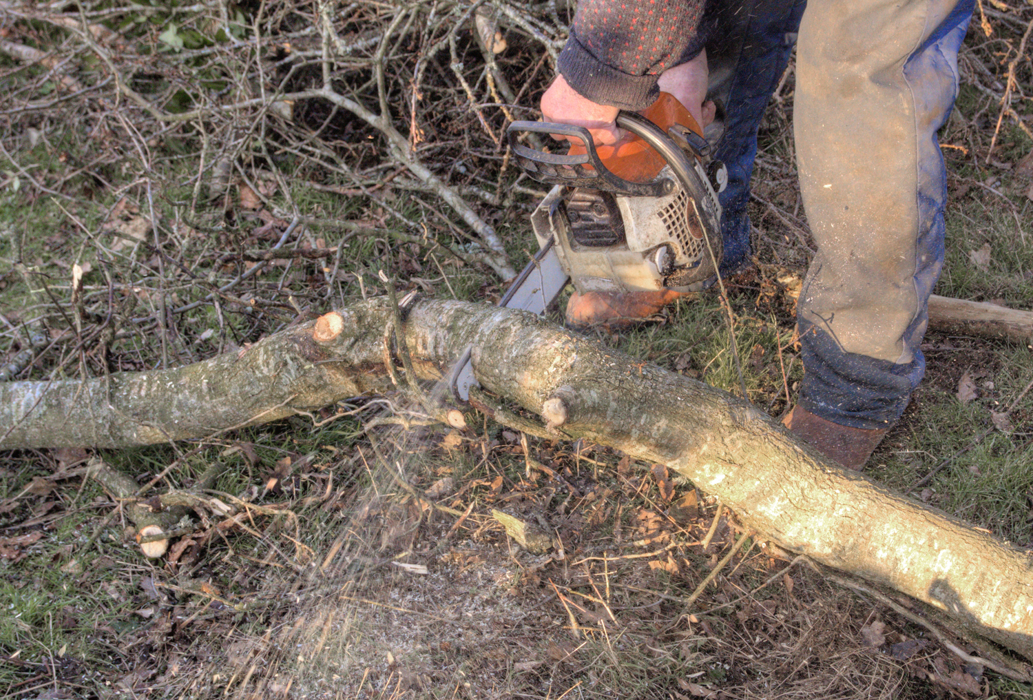 H Making cordwood 02.jpg