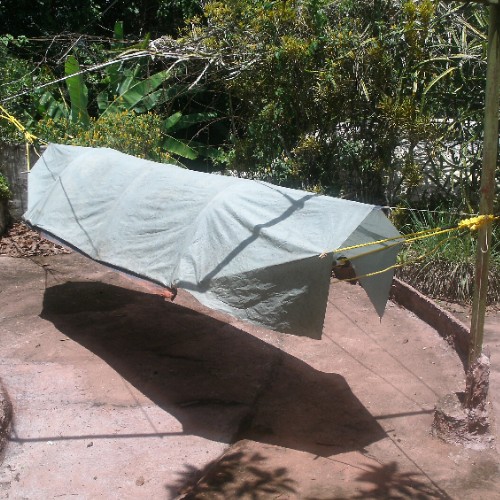 HAMMOCK TENT (1).JPG