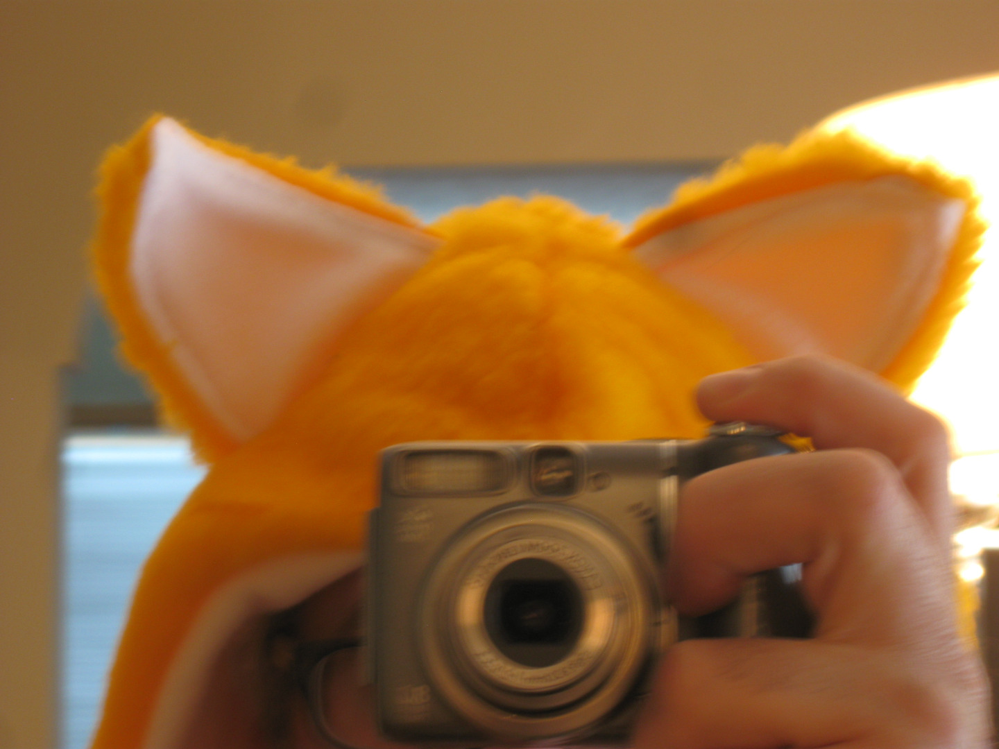 HAT 133.jpg